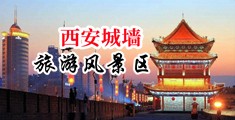 毛茸茸的逼中国陕西-西安城墙旅游风景区